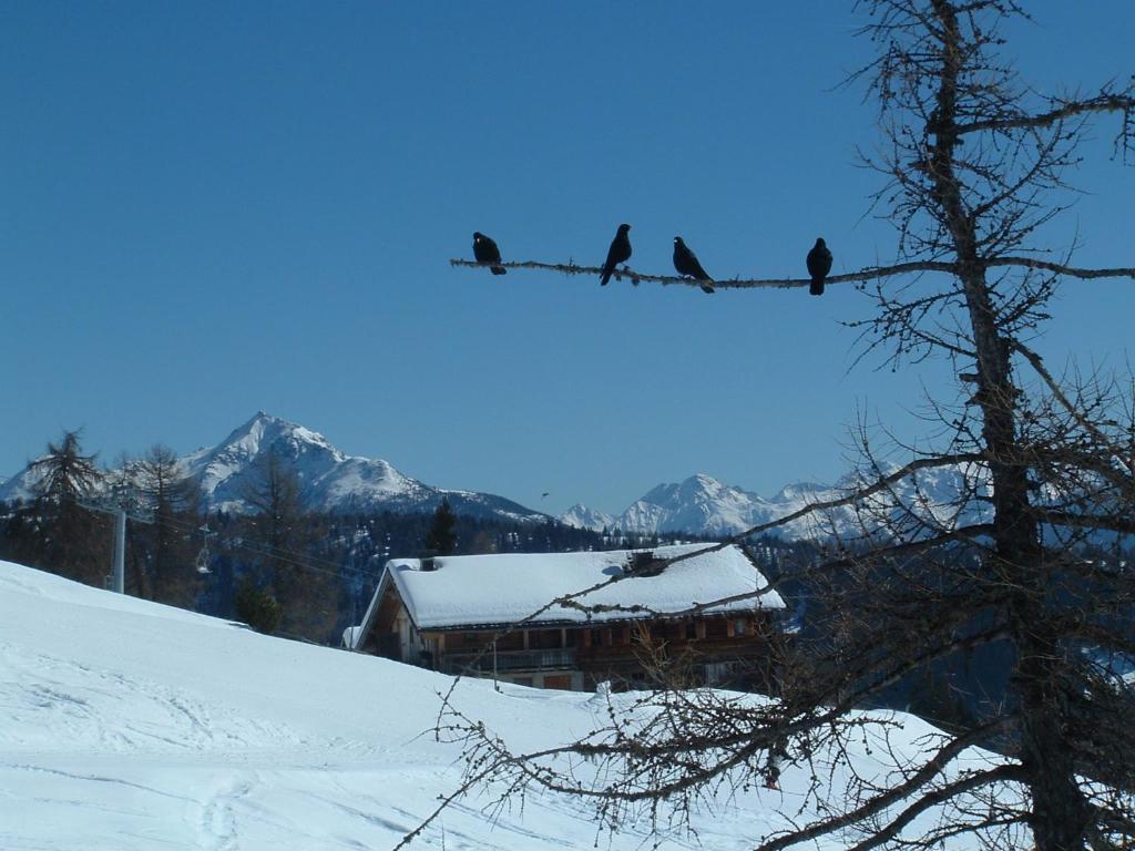 Mecki'S Dolomiten Panorama Stubn Debant Pokoj fotografie